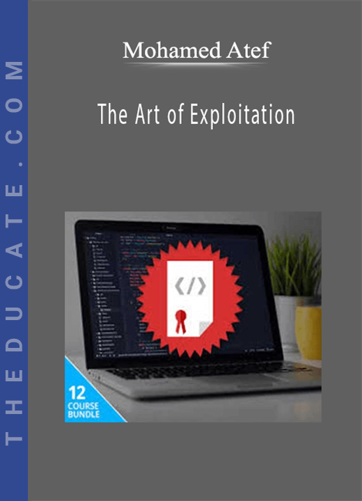 Mohamed Atef - The Art of Exploitation