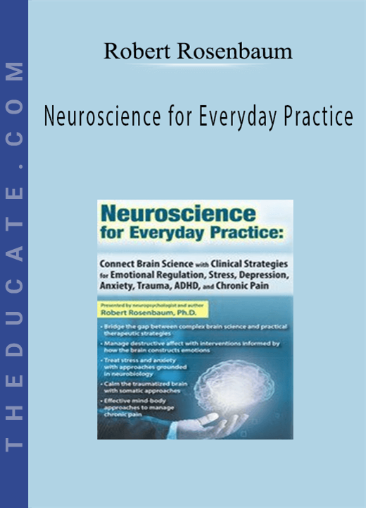 Neuroscience for Everyday Practice: Connect Brain Science with Clinical Strategies for Emotional Regulation, Stress, Depression, Anxiety, Trauma, ADHD, and Chronic Pain - Robert Rosenbaum