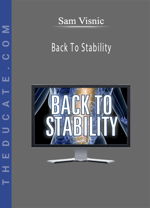 Sam Visnic - Back To Stability