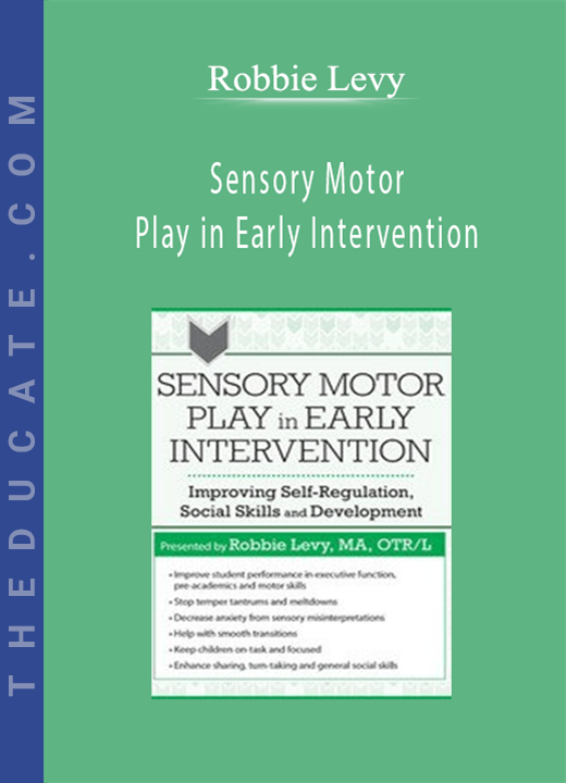 Sensory Motor Play in Early Intervention: Improving Self-Regulation, Social Skills and Development - Robbie Levy