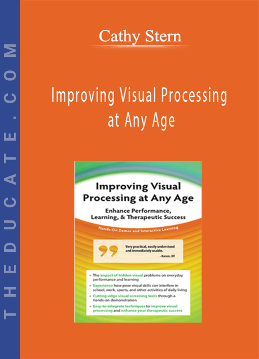 Improving Visual Processing at Any Age: Enhance Performance, Learning, & Therapeutic Success - Cathy Stern
